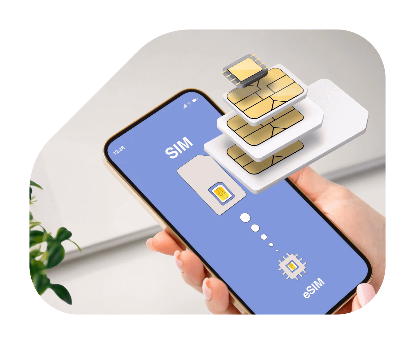 Definition and Evolution of eSIM