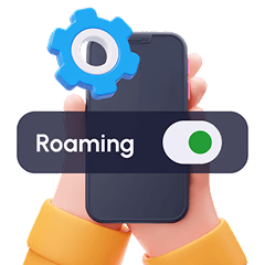 Turn on Data Roaming